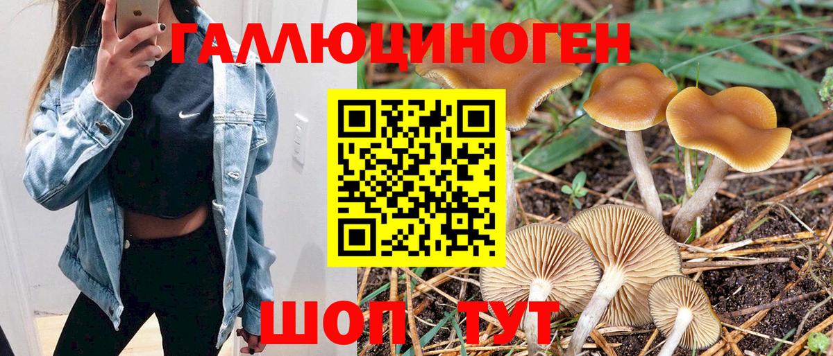 Галлюциногенные грибы Psilocybine cubensis  Вход с VPN  Пушкино 