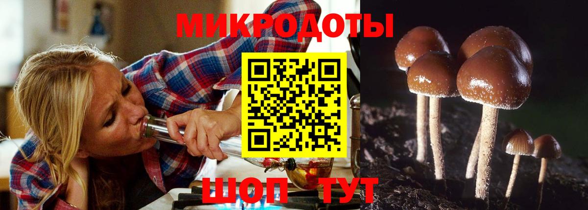 Галлюциногенные грибы Magic Shrooms Пушкино