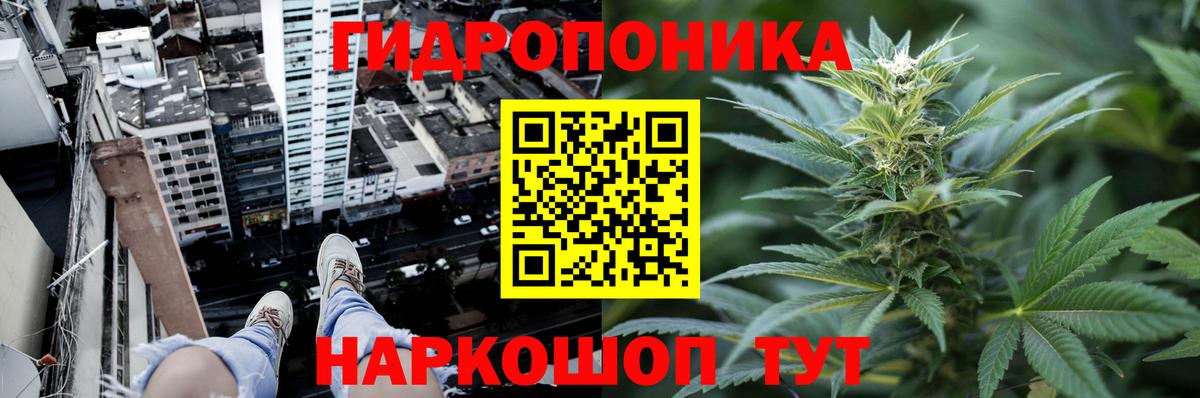 Марихуана марихуана  Вход с VPN  Пушкино  Каннабис план  Конопля гибрид 
